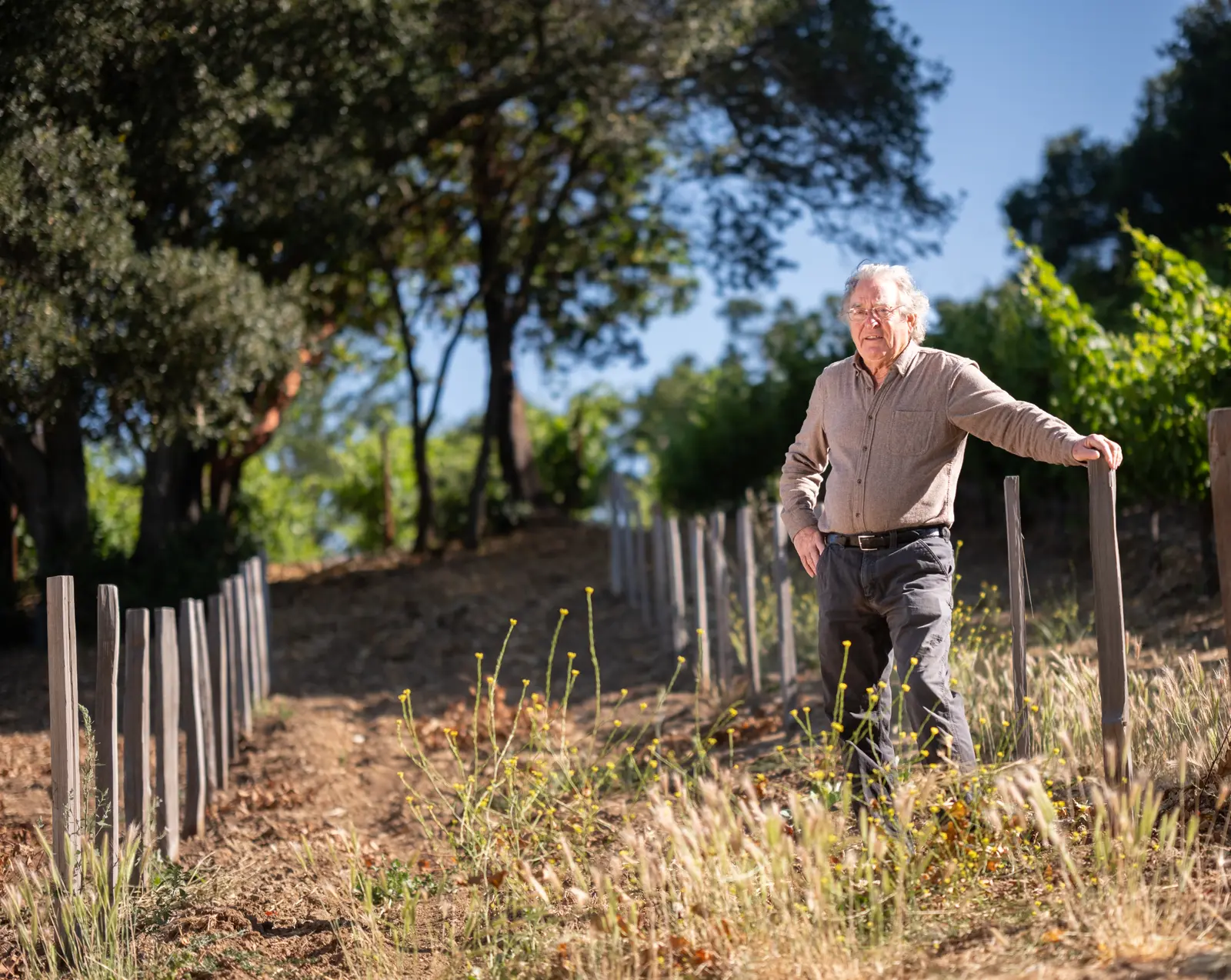 Brion Wise, Vintner, in a field of young vines on his estate on Moon Mountain, Sonoma County, California